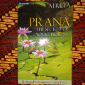 Prana The secret of Yogic Healing