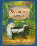 Sassafras