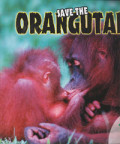 Save the Orangutan