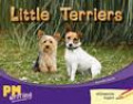 Little terriers