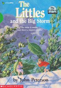 The Little and the Big Storm