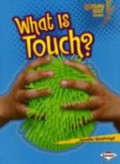 What Is Touch?