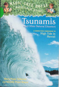 Tsunamis and Other Natural Disasters: a Nonfiction Companion to High Tide in Hawaii