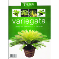 Variegata