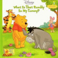 Winnie the Pooh's Thinking Spot 2 : Body Sounds : What Is That Rumbly In My Tummy?